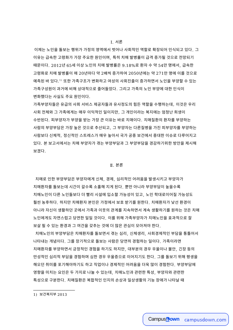 부양부담과 치매노인, 부양자 관련 핵심 내용 요약 정리 자료의 첫 페이지 미리보기