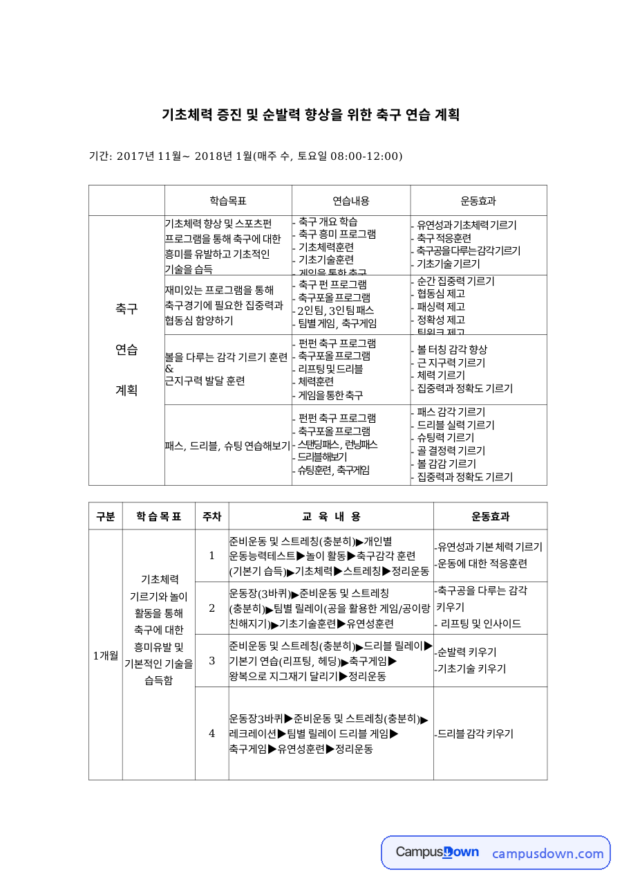 기초체력 증진 및 순발력 향상을 위한 축구 연습 계획 핵심 내용 정리 자료의 첫 페이지 미리보기