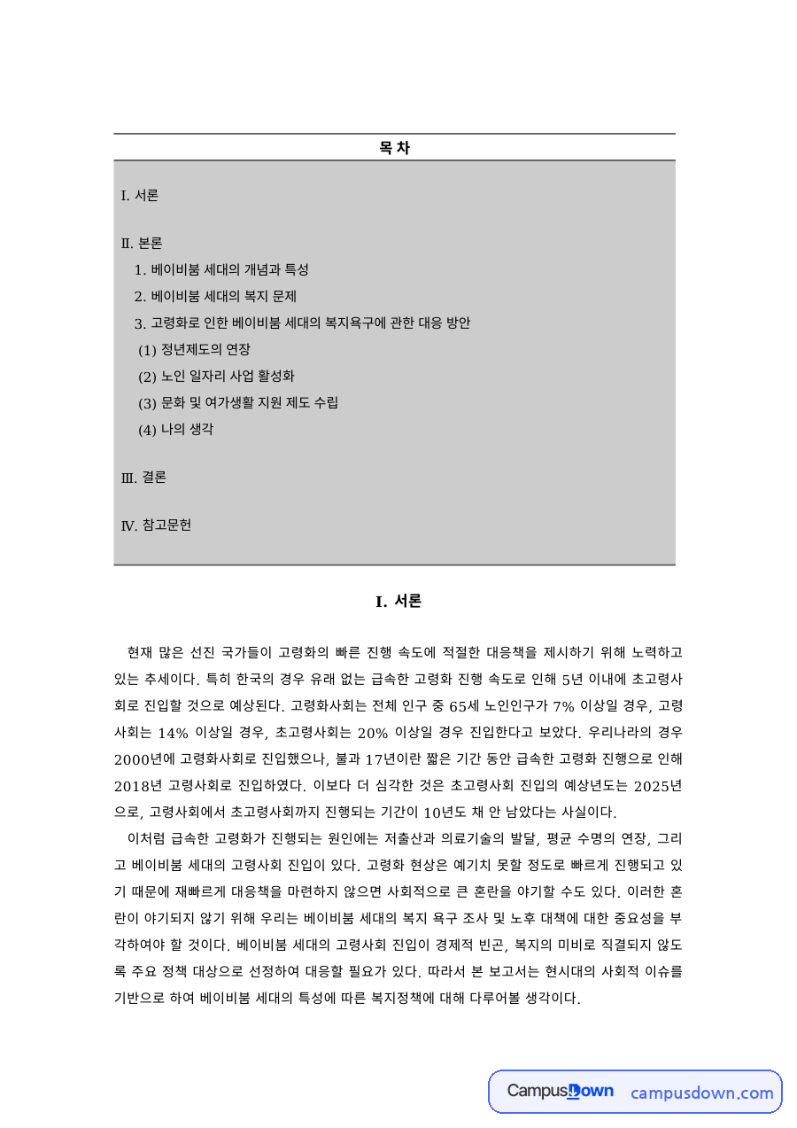 베이비붐 세대의 개념과 특성, 복지 문제와 정년연장·노인 일자리·여가 지원 방안 자료의 첫 페이지 미리보기