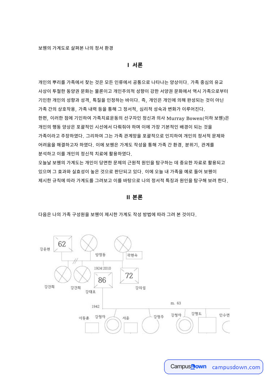 보웬의 가계도로 살펴본 나의 정서 환경 자료의 첫 페이지 미리보기