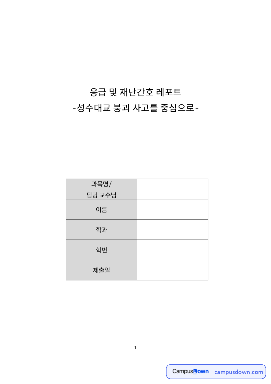 응급 및 재난간호: 성수대교·환자 중심 핵심 내용 정리 자료의 첫 페이지 미리보기