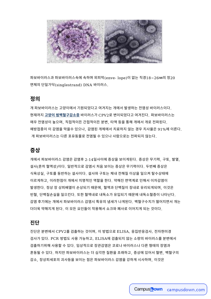 파보바이러스 정의와 증상, 진단, 예방 접종과 치료 정리 자료의 첫 페이지 미리보기