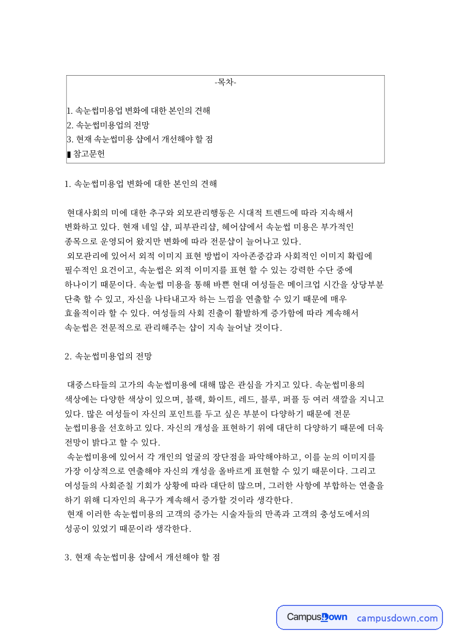 속눈썹미용업 변화에 대한 본인의 견해 자료의 첫 페이지 미리보기