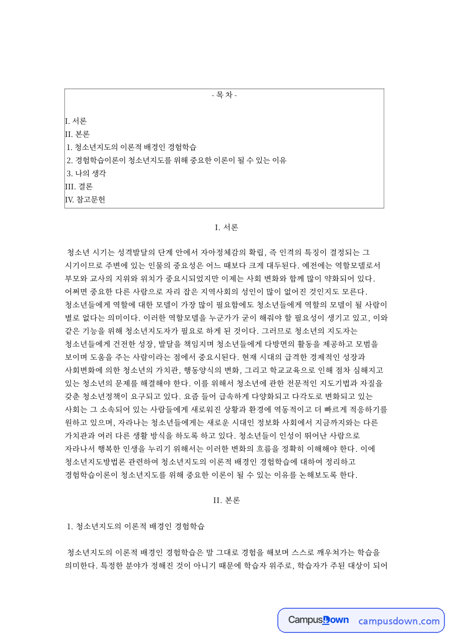 경험학습이론으로 본 청소년지도의 이론적 배경과 청소년지도자 자료의 첫 페이지 미리보기