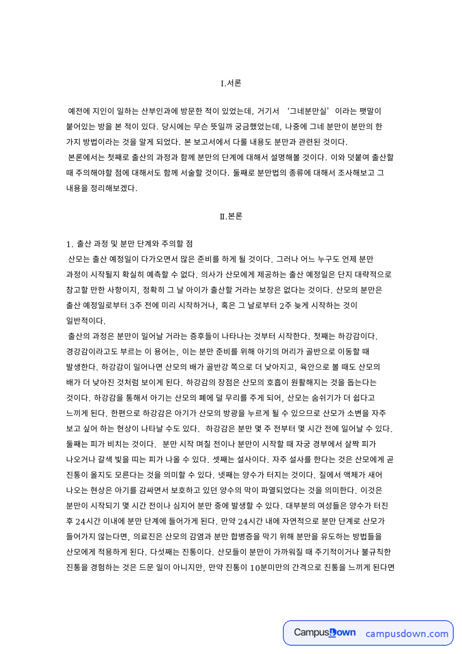 출산 과정 및 분만 단계와 주의할 점 자료의 첫 페이지 미리보기
