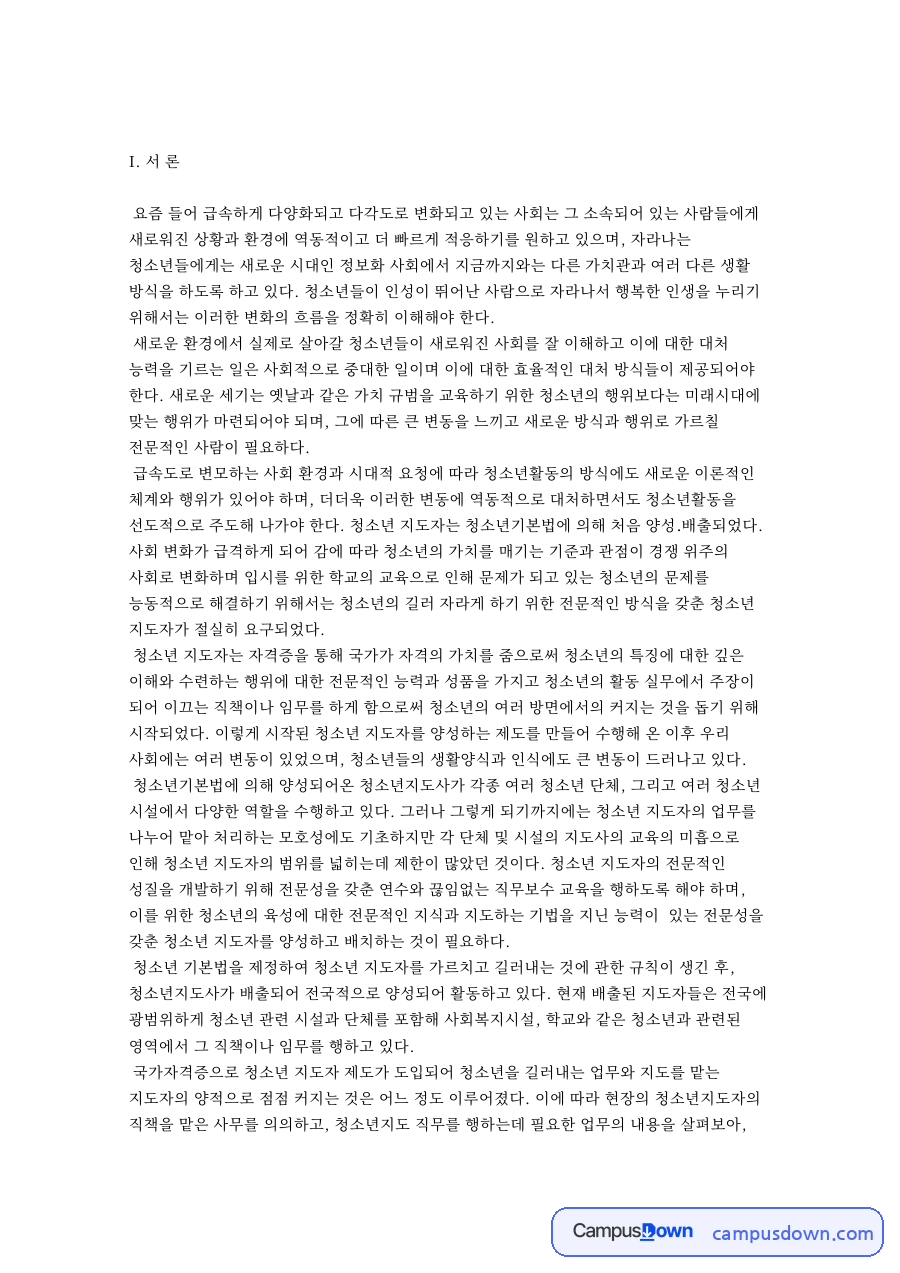 청소년 지도자의 정과 청소년지도 직무에 따른 업무 전문화 자료의 첫 페이지 미리보기