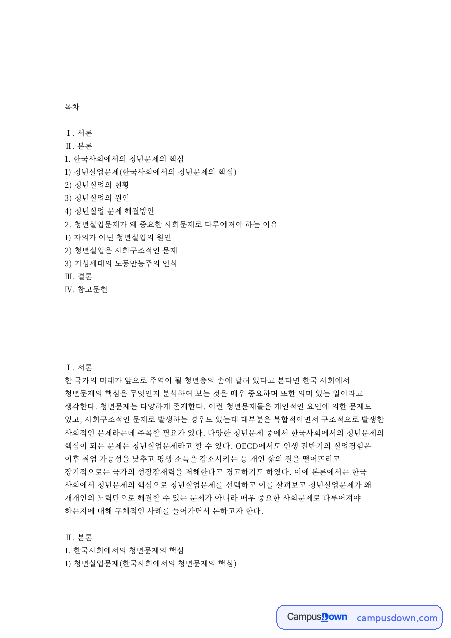 한국사회에서의 청년문제의 핵심 핵심 개념과 주요 내용 정리 자료의 첫 페이지 미리보기