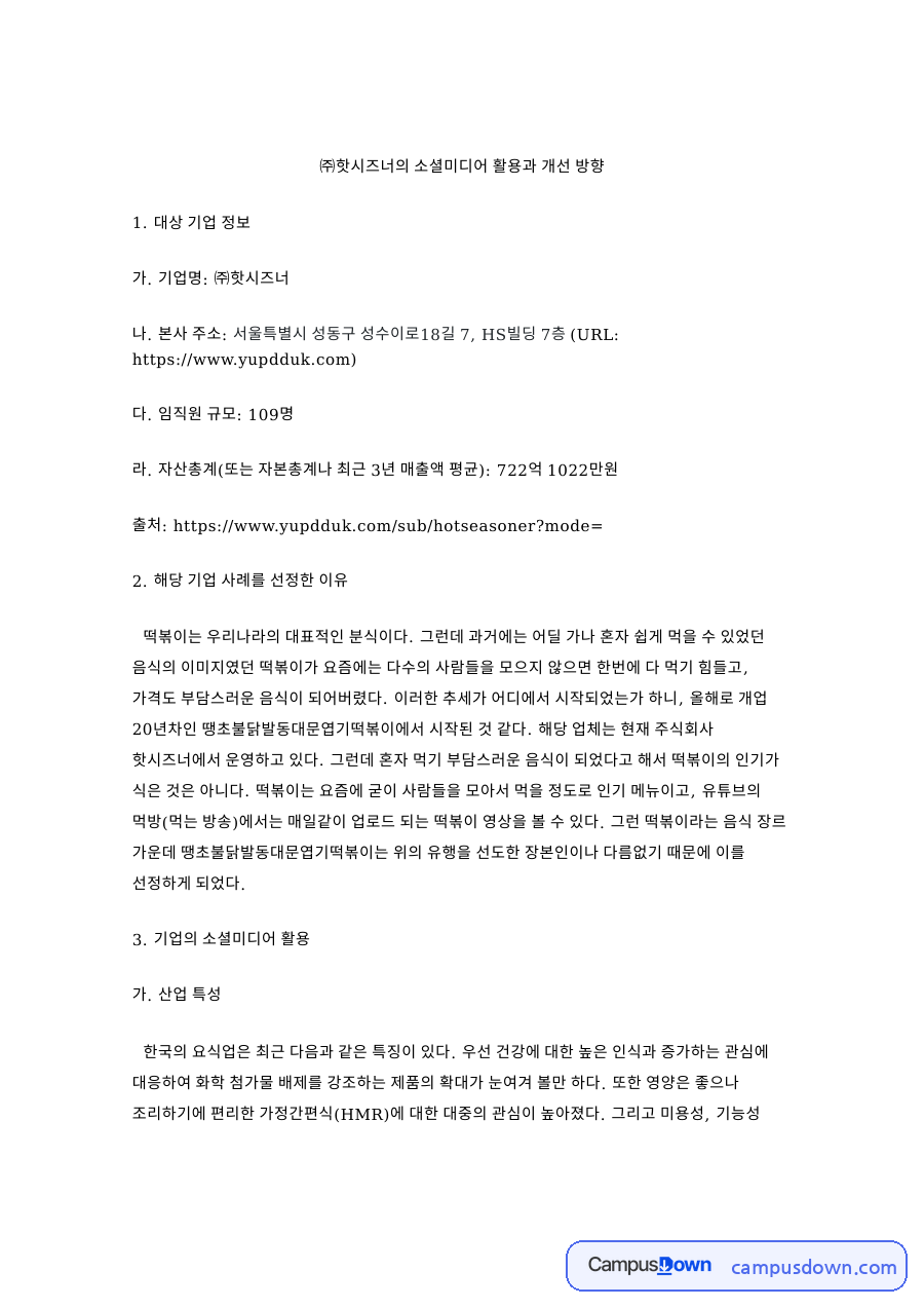 핫시즈너의 소셜미디어 활용과 개선 방향 핵심 내용 요약 정리 자료의 첫 페이지 미리보기