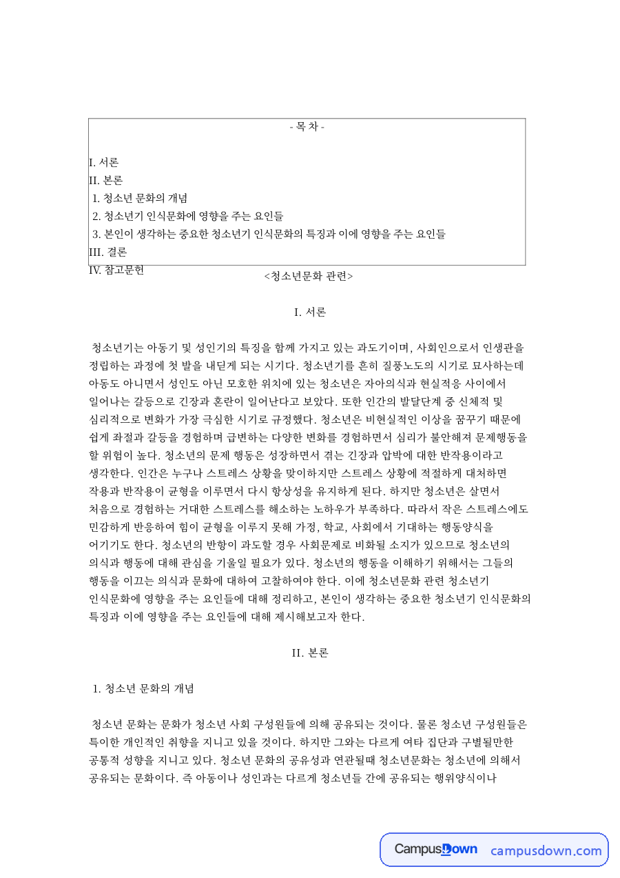 청소년 문화의 개념과 청소년기 인식문화에 영향을 주는 요인들 자료의 첫 페이지 미리보기