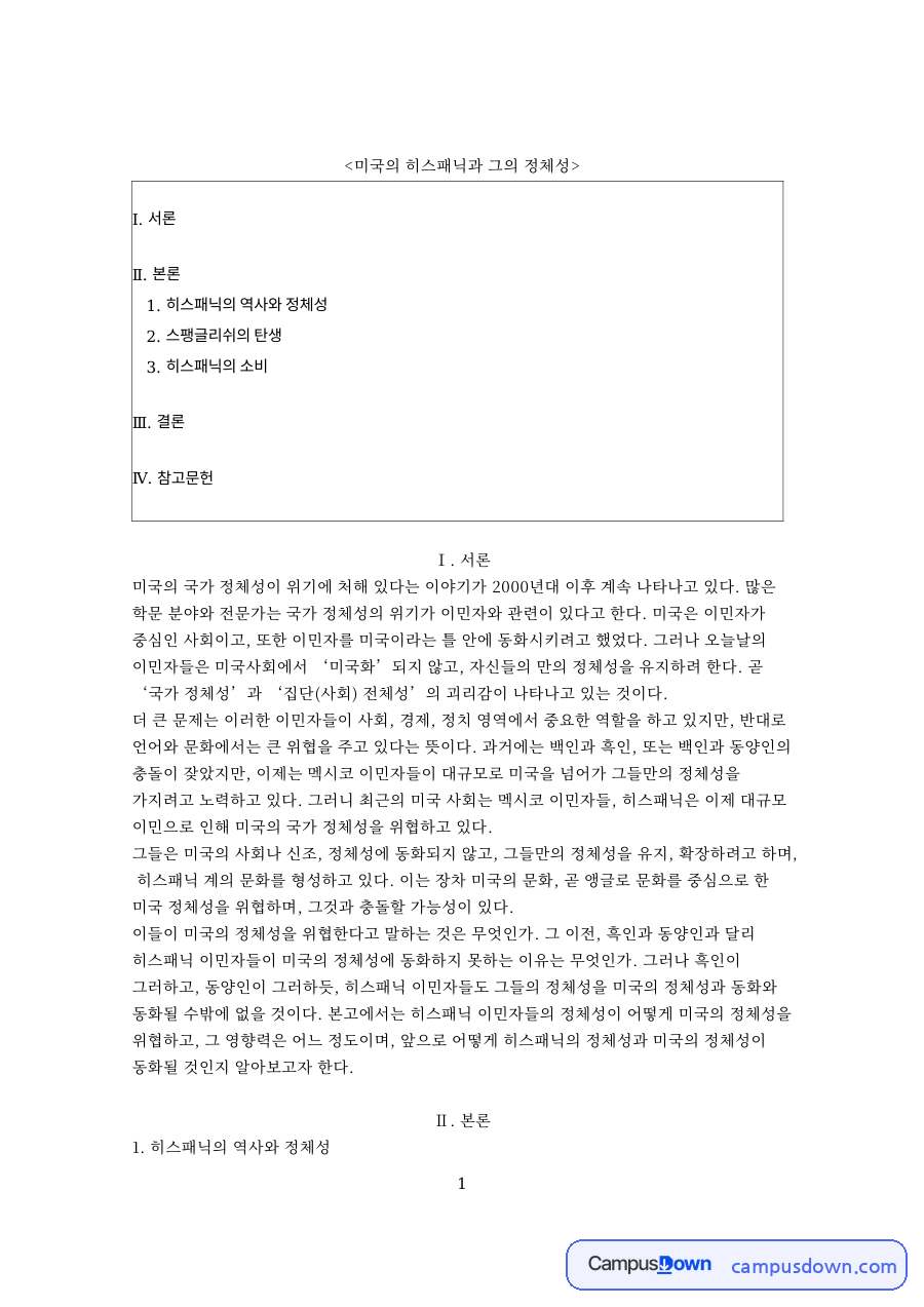 미국의 히스패닉과 그의 정체성 핵심 개념과 주요 내용 정리 자료의 첫 페이지 미리보기