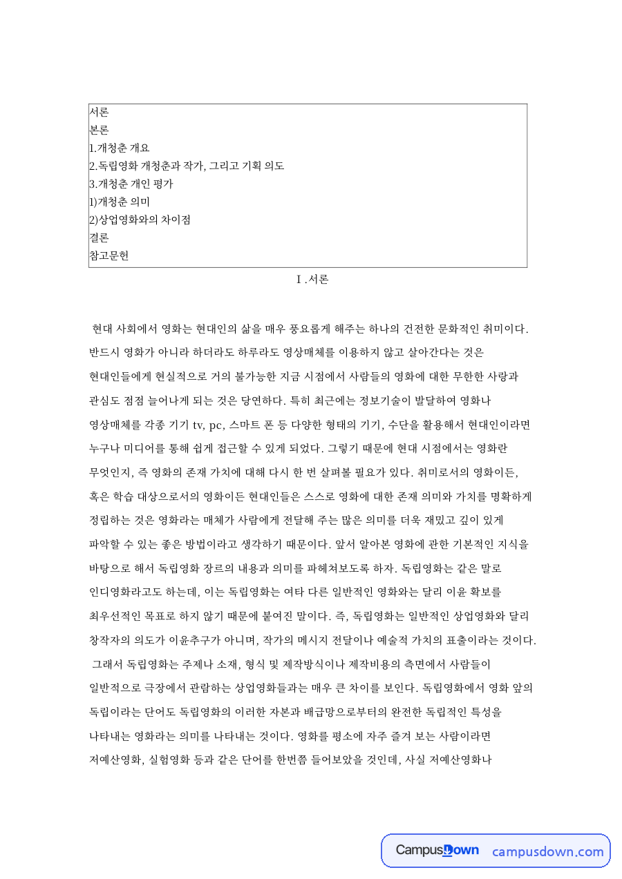 개청춘 개인 평가: 독립영화·작가 중심 핵심 내용 정리 자료의 첫 페이지 미리보기