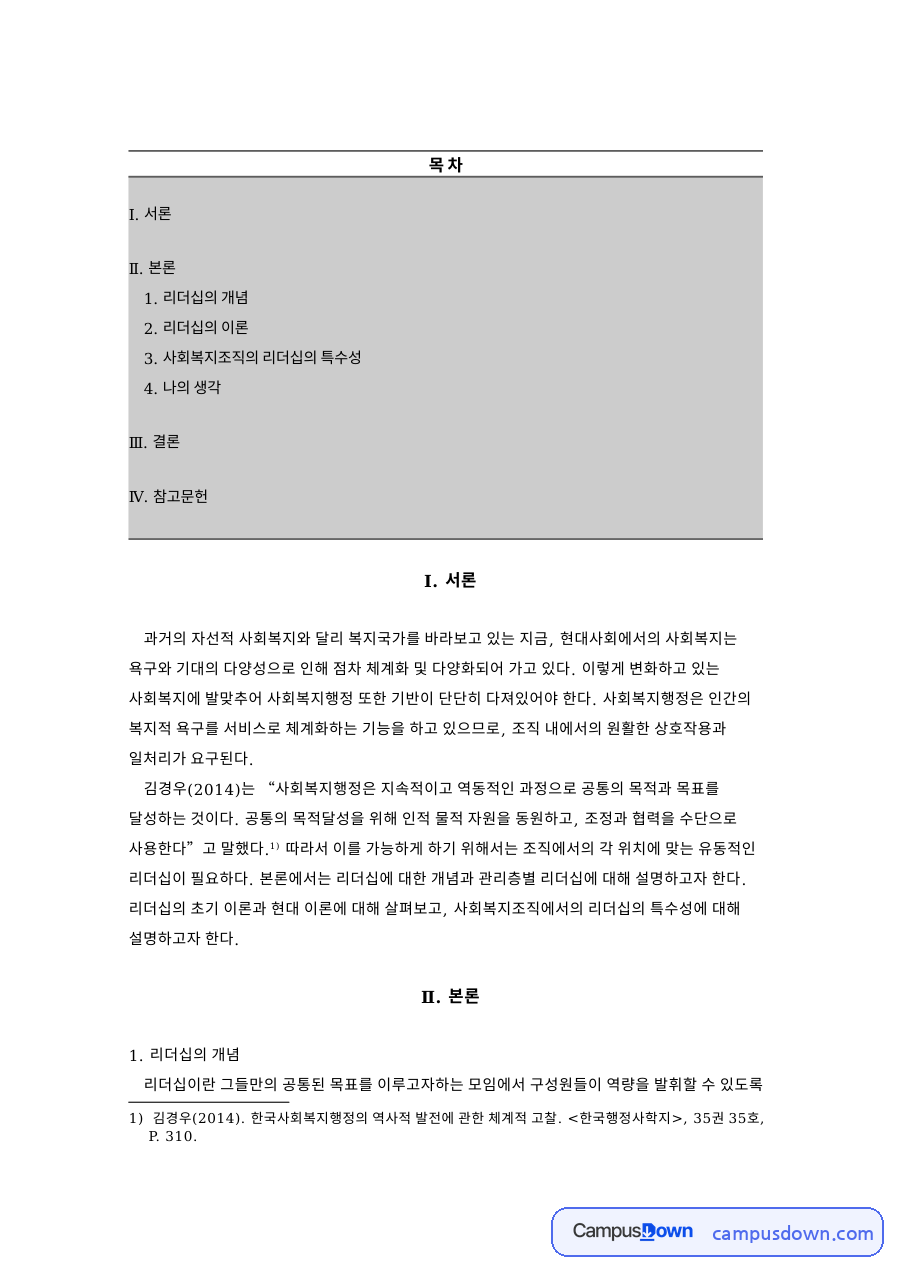 관리층별 리더십과 초기 이론 자료의 첫 페이지 미리보기