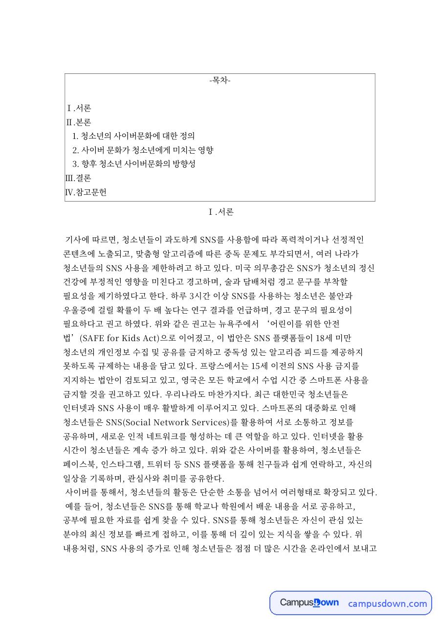 청소년의 사이버문화에 대한 정 자료의 첫 페이지 미리보기