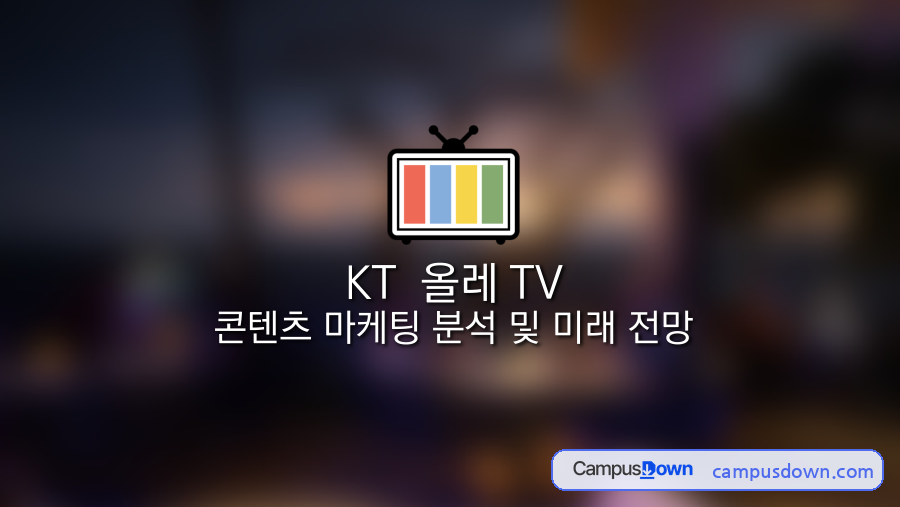 KT 올레TV 콘텐츠 마케팅 분석 및 IPTV 미래 전망 자료의 첫 페이지 미리보기