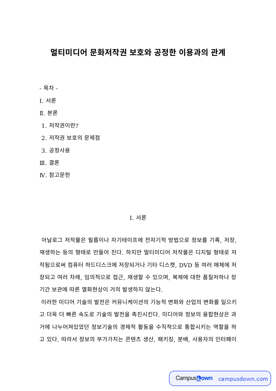 멀티미디어 문화저작권 보호와 공정사용의 관계, 저작권 보호의 문제점 자료의 첫 페이지 미리보기