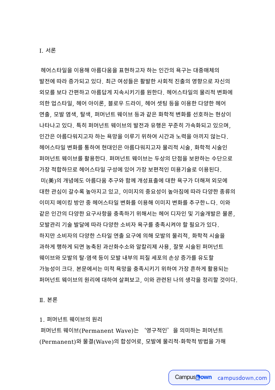퍼머넌트 웨이브의 원리 자료의 첫 페이지 미리보기