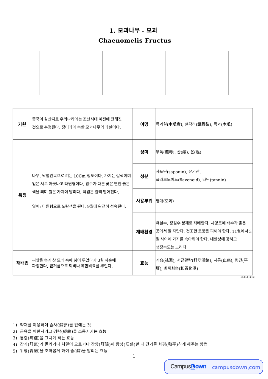 모과나무와 대추(대조) 인동덩굴(금은화) 자료의 첫 페이지 미리보기