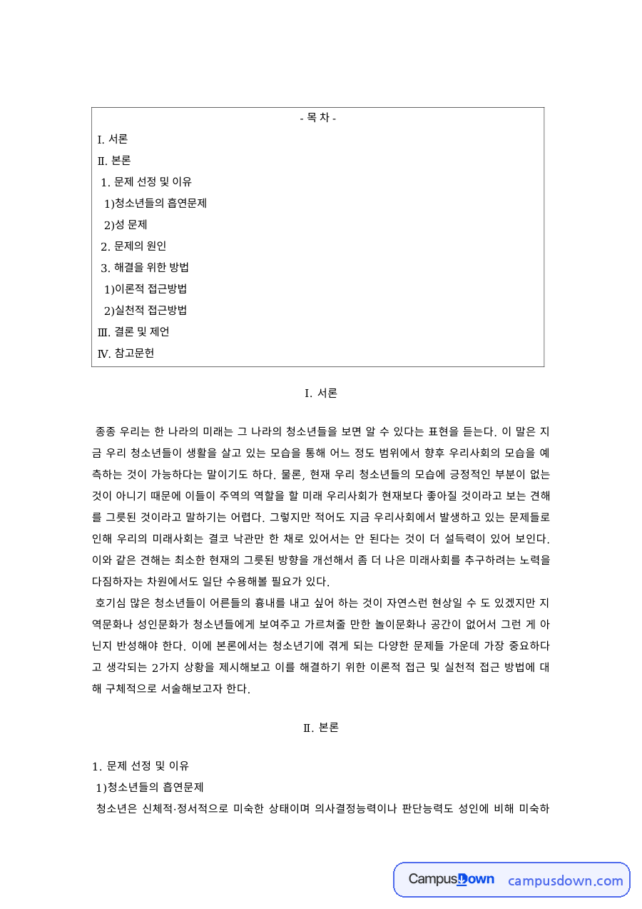 청소년문제 과제 – 청소년 흡연·성 문제와 그 원인 자료의 첫 페이지 미리보기