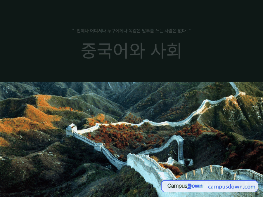 중국어의 변화 – 유행어와 신조어 중심 자료의 첫 페이지 미리보기