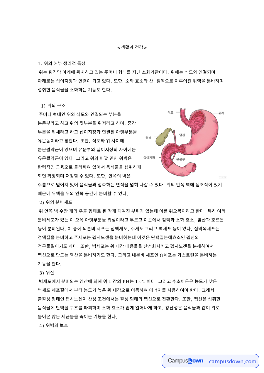 생활과 건강: 염산·음식물 중심 핵심 내용 정리 자료의 첫 페이지 미리보기