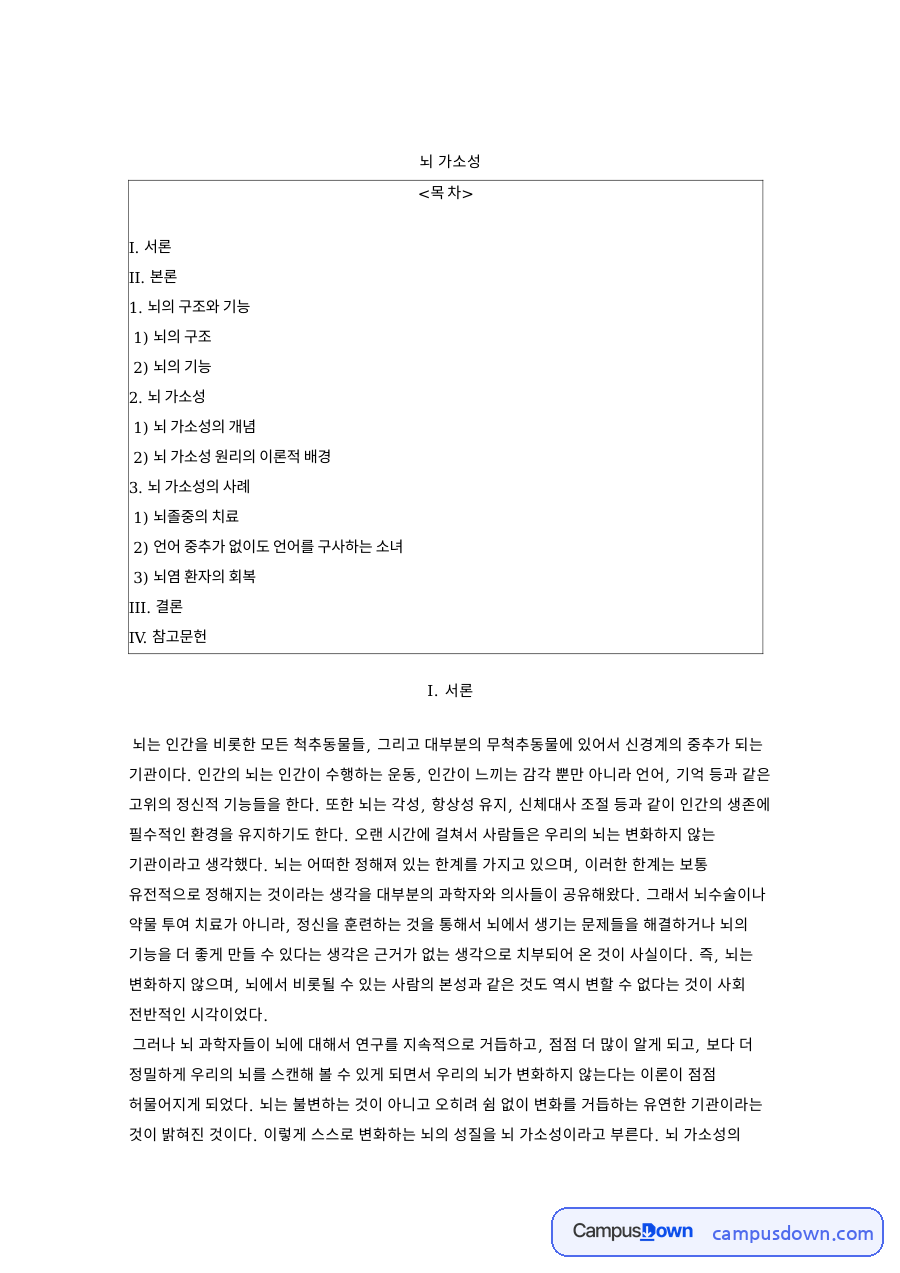 뇌의 구조와 기능: 가소성·신경 중심 핵심 내용 정리 자료의 첫 페이지 미리보기