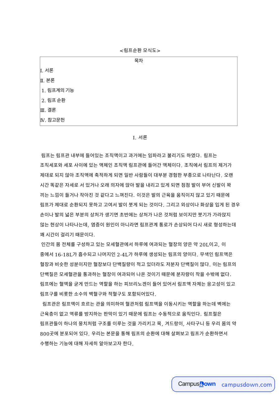 림프순환 모식도: 모세혈관·단백질 중심 핵심 내용 정리 자료의 첫 페이지 미리보기