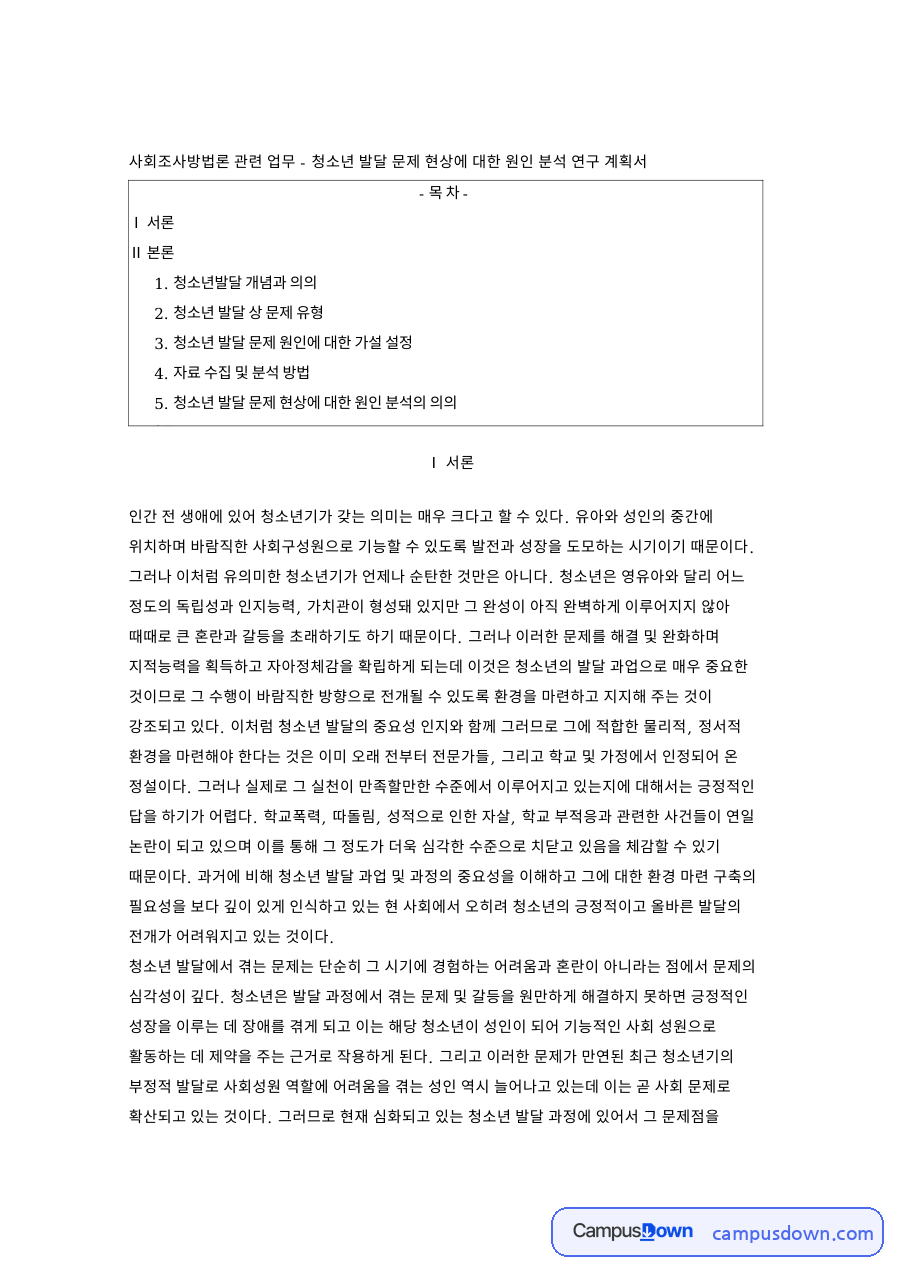 청소년 발달 상 문제 유형 핵심 개념과 주요 내용 정리 자료의 첫 페이지 미리보기