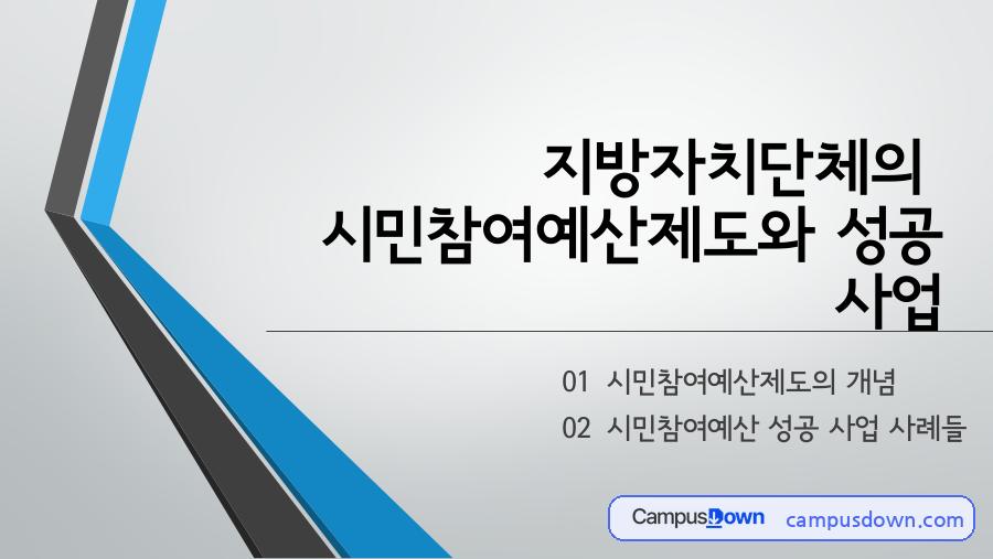지방자치단체 시민참여예산제도의 개념과 성공 사업 사례 자료의 첫 페이지 미리보기