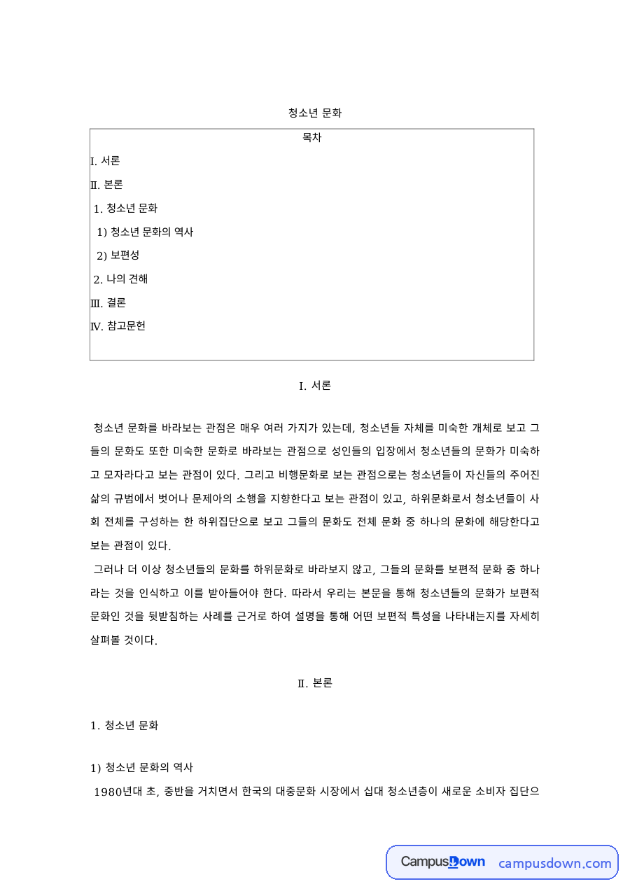청소년 문화의 역사와 보편성 자료의 첫 페이지 미리보기