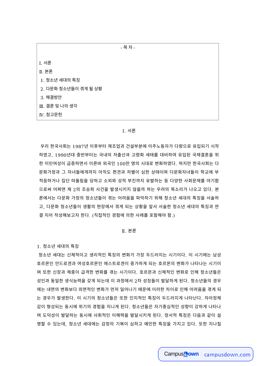 다문화복지 과제 – 다문화 청소년이 겪는 상황과 해결방안 자료의 첫 페이지 미리보기