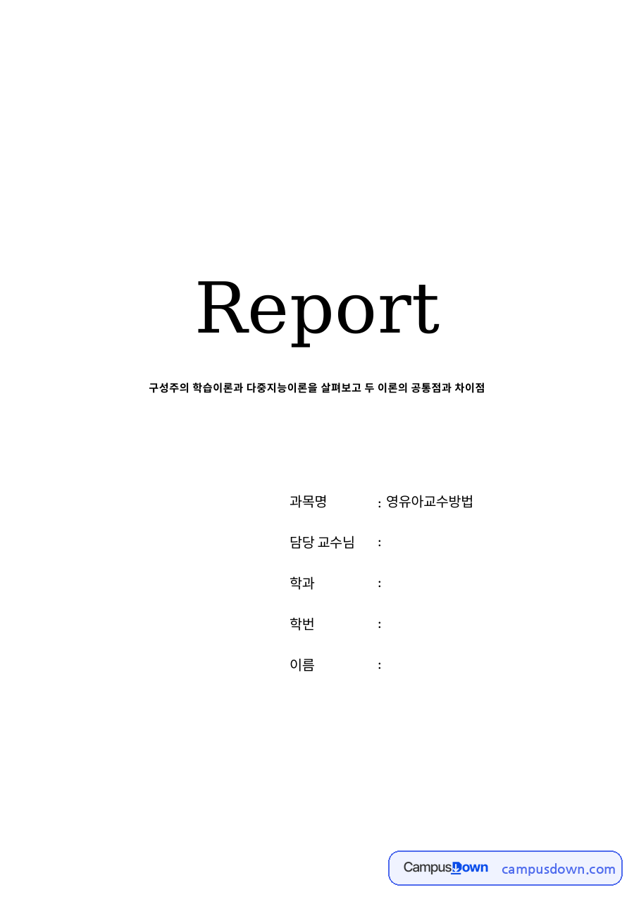 구성주의 학습이론과 다중지능이론 자료의 첫 페이지 미리보기