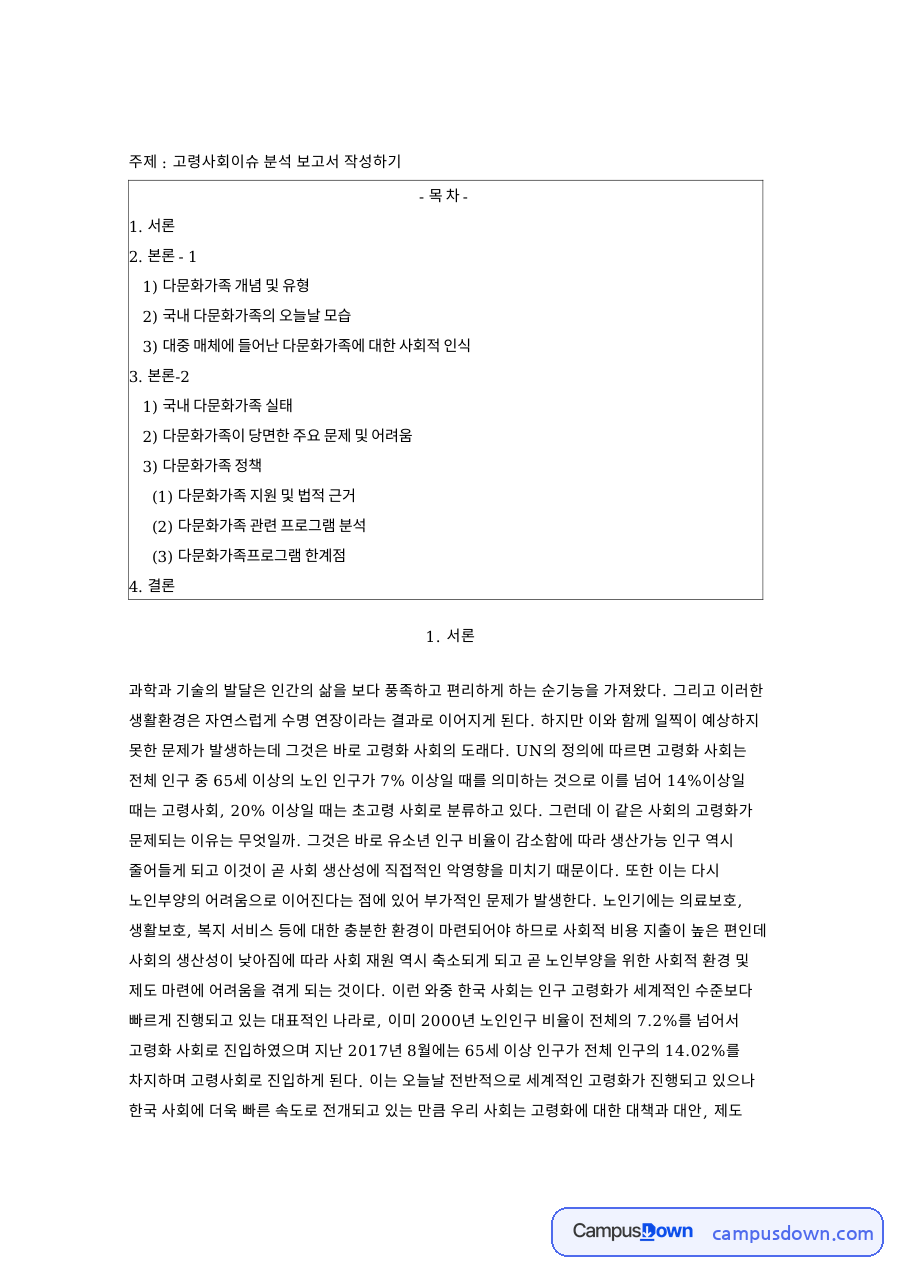고령사회이슈 분석 보고서 작성하기 핵심 내용 요약 정리 자료의 첫 페이지 미리보기