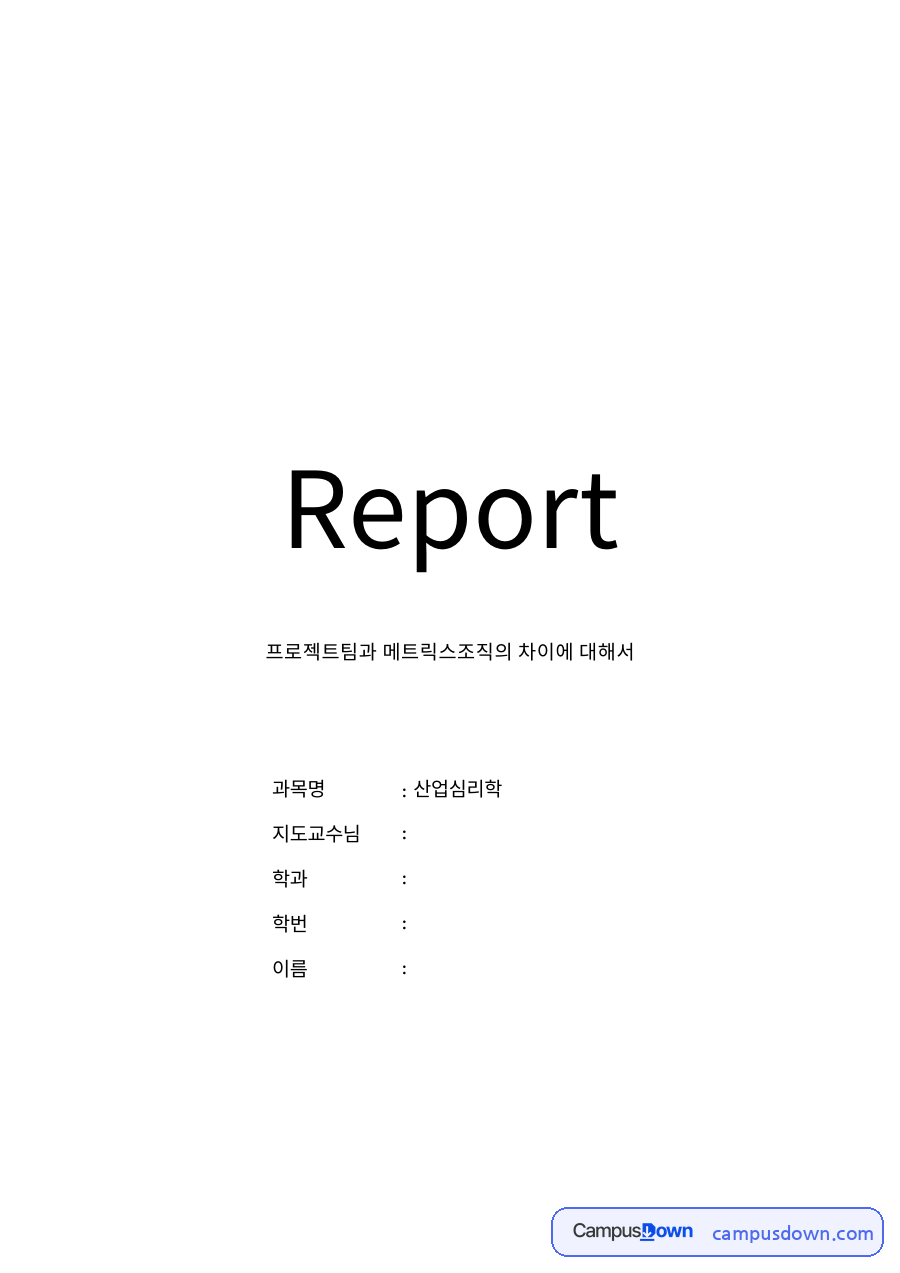 프로젝트팀과 메트릭스조직의 차 자료의 첫 페이지 미리보기