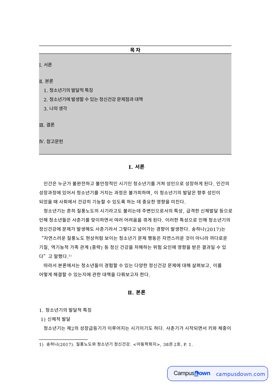 청소년기의 발달적 특징 자료의 첫 페이지 미리보기