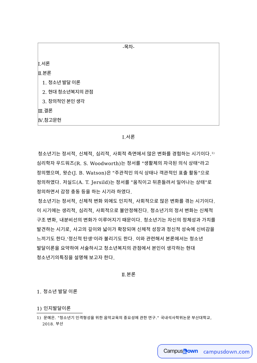 청소년 발달 이론 자료의 첫 페이지 미리보기