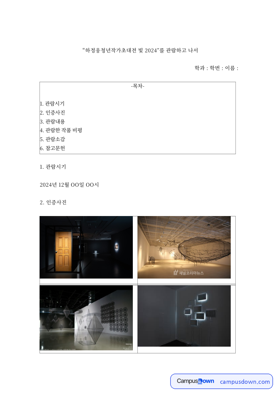 미술 전시 감상문 - 하정웅청년작가초대전 빛 2024 관람 자료의 첫 페이지 미리보기