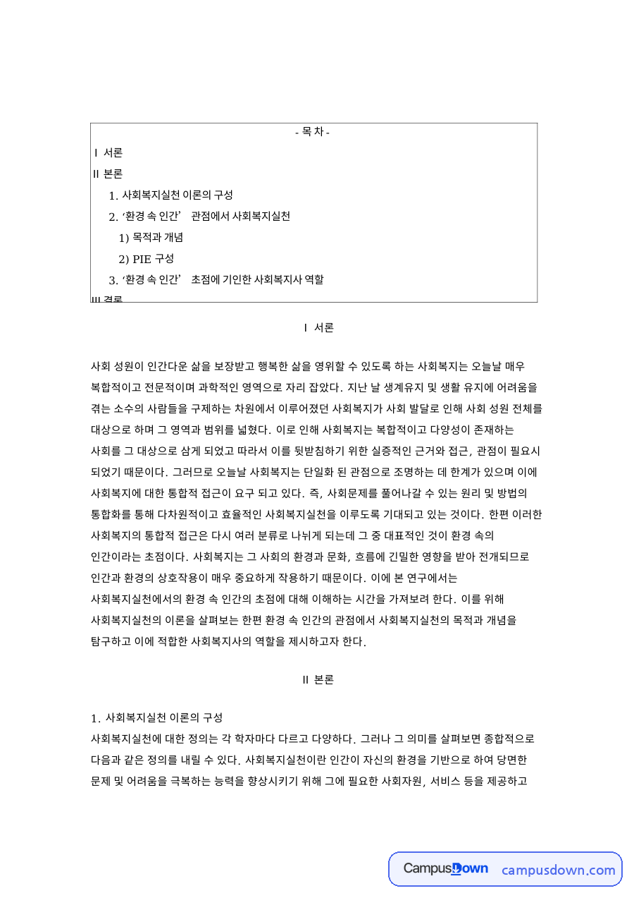 사회복지실천론 환경 속 인간 PIE 관점과 사회복지사 역할 자료의 첫 페이지 미리보기