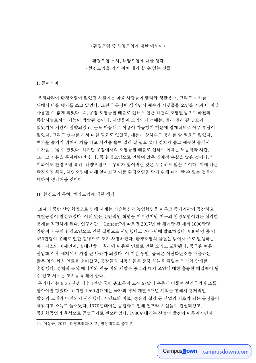 환경오염 중 해양오염에 대한 에세이 핵심 내용 요약 정리 자료의 첫 페이지 미리보기