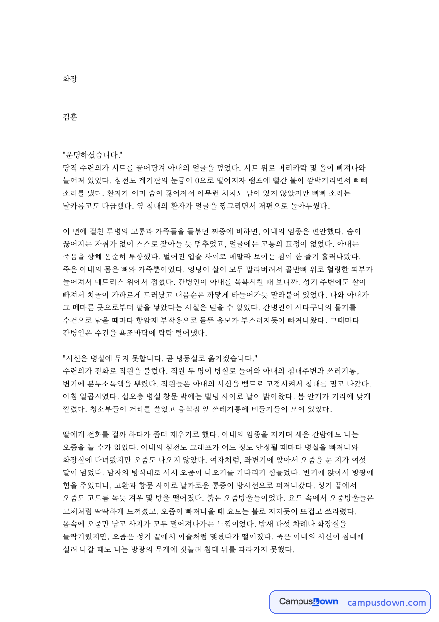 아내 소재 작품 줄거리 요약 정리 자료의 첫 페이지 미리보기