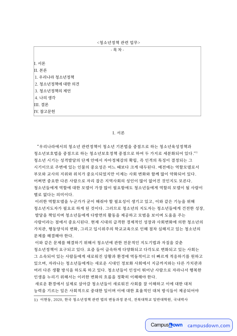 우리나라 청소년정책 핵심 개념과 주요 내용 정리 자료의 첫 페이지 미리보기