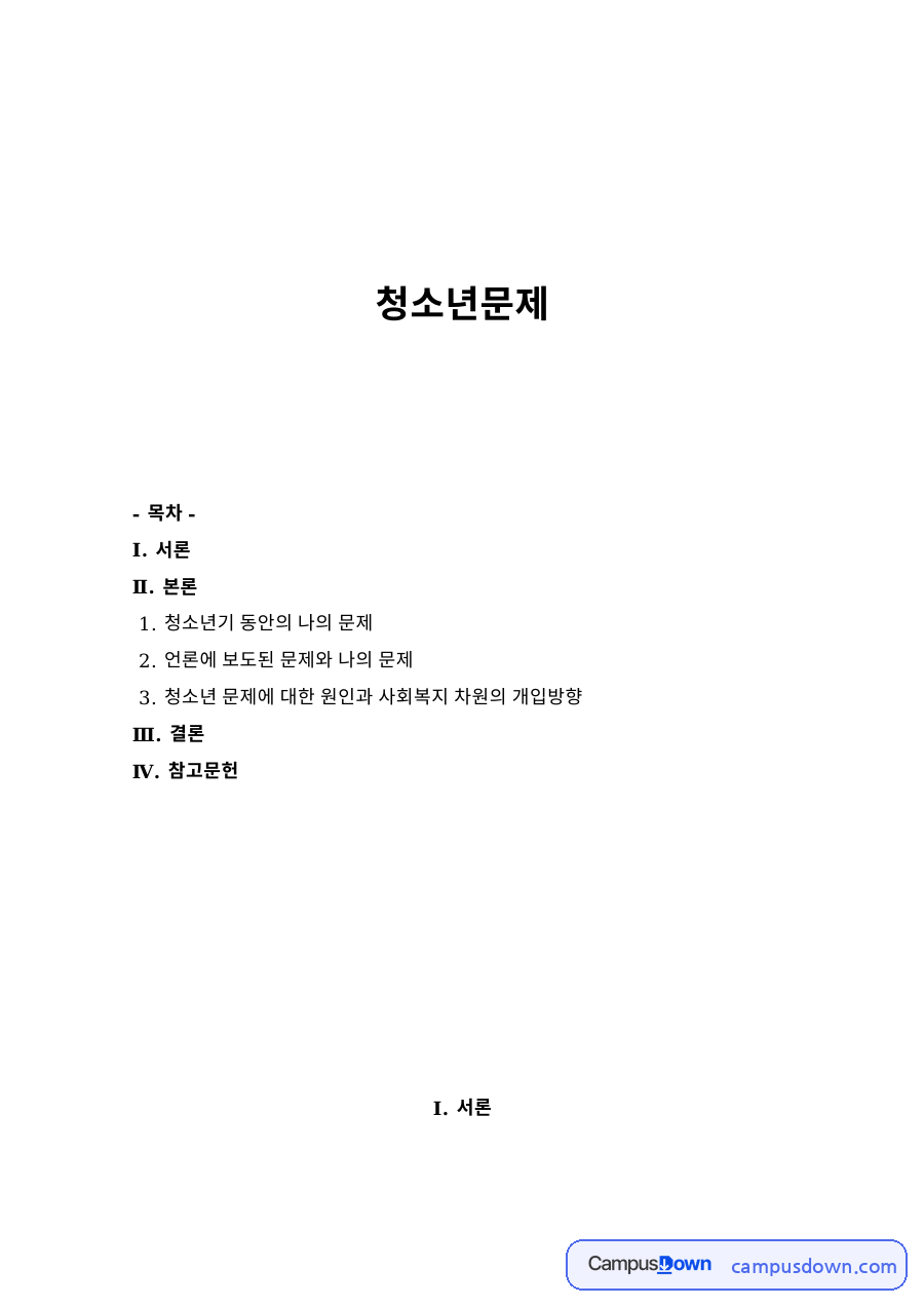 청소년기 동안의 나의 문제와 언론에 보도된 문제와 나의 문제 자료의 첫 페이지 미리보기