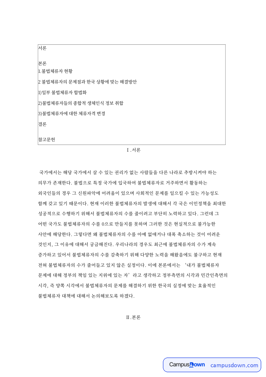 불법체류자 현황: 체류자격·생체인식 중심 핵심 내용 정리 자료의 첫 페이지 미리보기