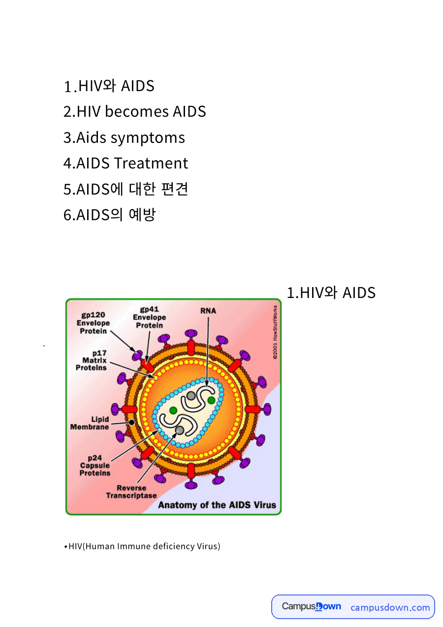 보건학 과제 – HIV와 AIDS의 감염 기전과 치료 자료의 첫 페이지 미리보기