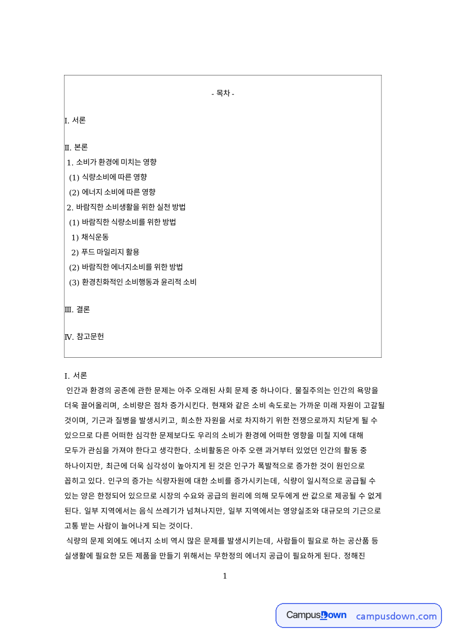 소비가 환경에 미치는 영향 핵심 개념과 주요 내용 정리 자료의 첫 페이지 미리보기