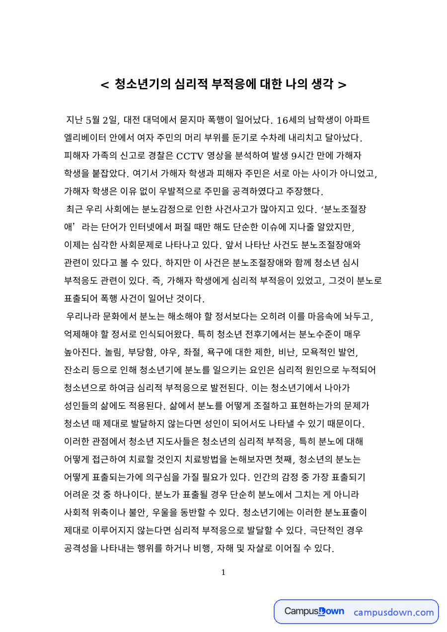청소년기의 심리적 부적응에 대한 나의 생각 자료의 첫 페이지 미리보기