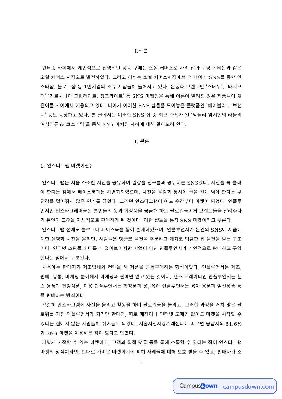 SNS 마켓 소비자 피해와 소셜커머스 시장 자료의 첫 페이지 미리보기