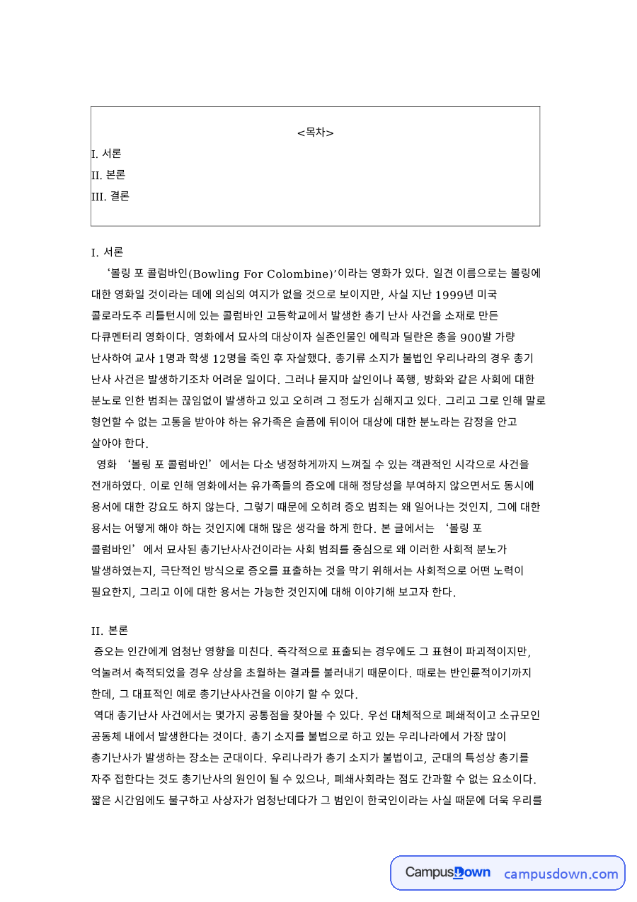 난사와 총기, 증오 관련 핵심 내용 요약 정리 자료의 첫 페이지 미리보기