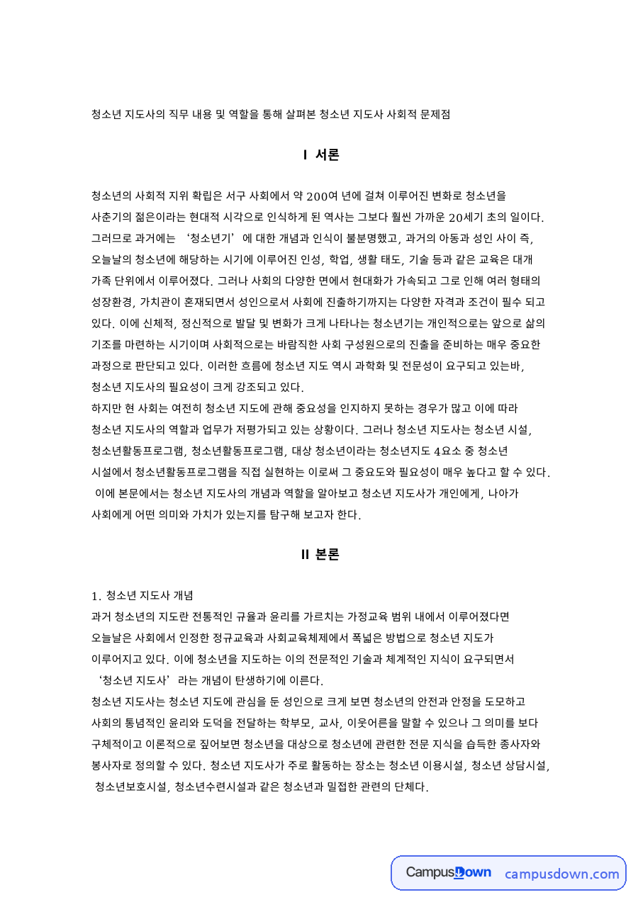 청소년 지도사의 직무 내용 자료의 첫 페이지 미리보기