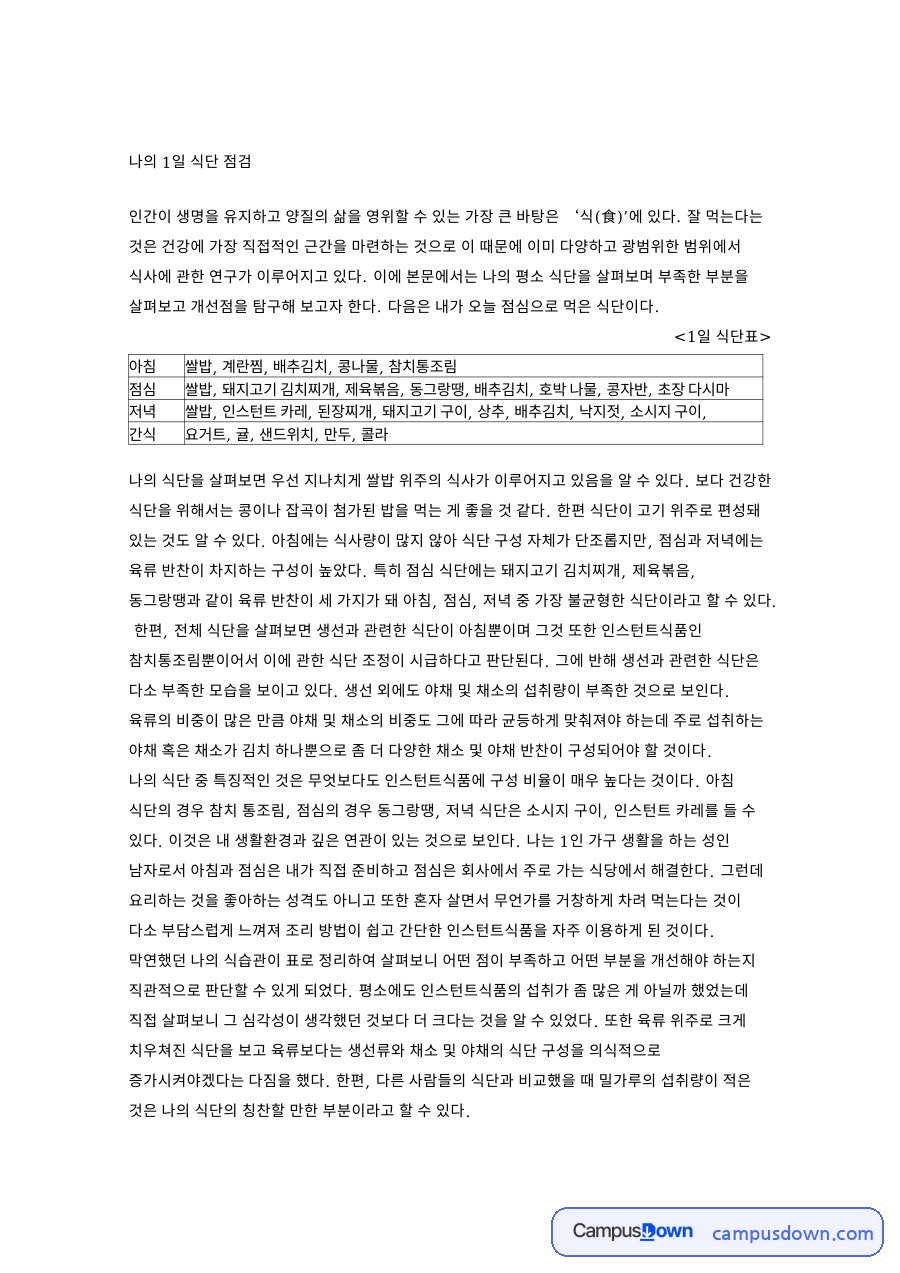 나의 1일 식단 점검 자료의 첫 페이지 미리보기
