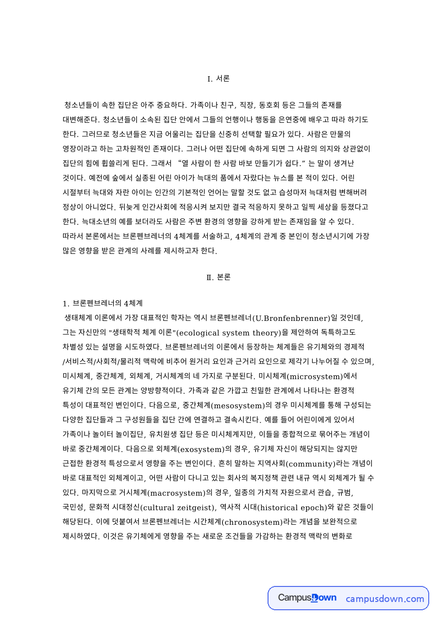 브론펜브레너의 4체계와 나의 사례 자료의 첫 페이지 미리보기